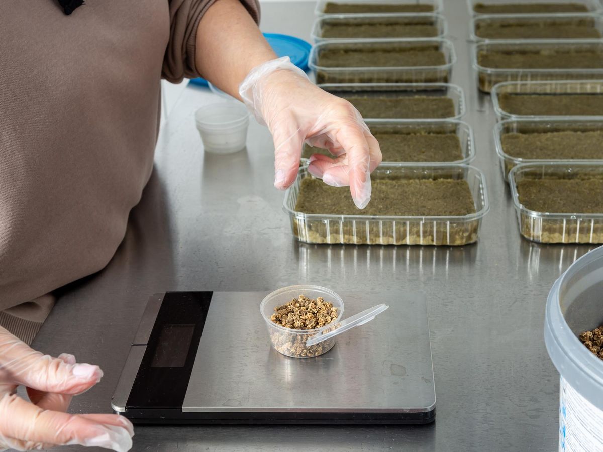 Proces produkcji liofilizowanych produktów krok po kroku – jak powstaje idealna żywność suszona sublimacyjnie?